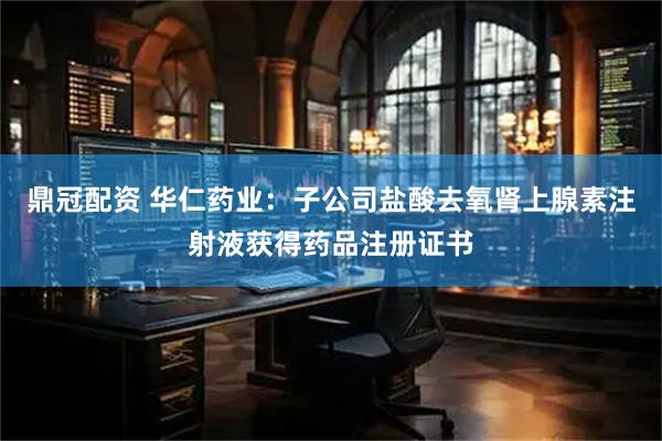 鼎冠配资 华仁药业：子公司盐酸去氧肾上腺素注射液获得药品注册证书
