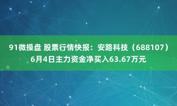 91微操盘 股票行情快报：安路科技（688107）6月4日主力资金净买入63.67万元
