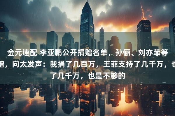 金元速配 李亚鹏公开捐赠名单，孙俪、刘亦菲等明星曾捐赠，向太发声：我捐了几百万，王菲支持了几千万，也是不够的